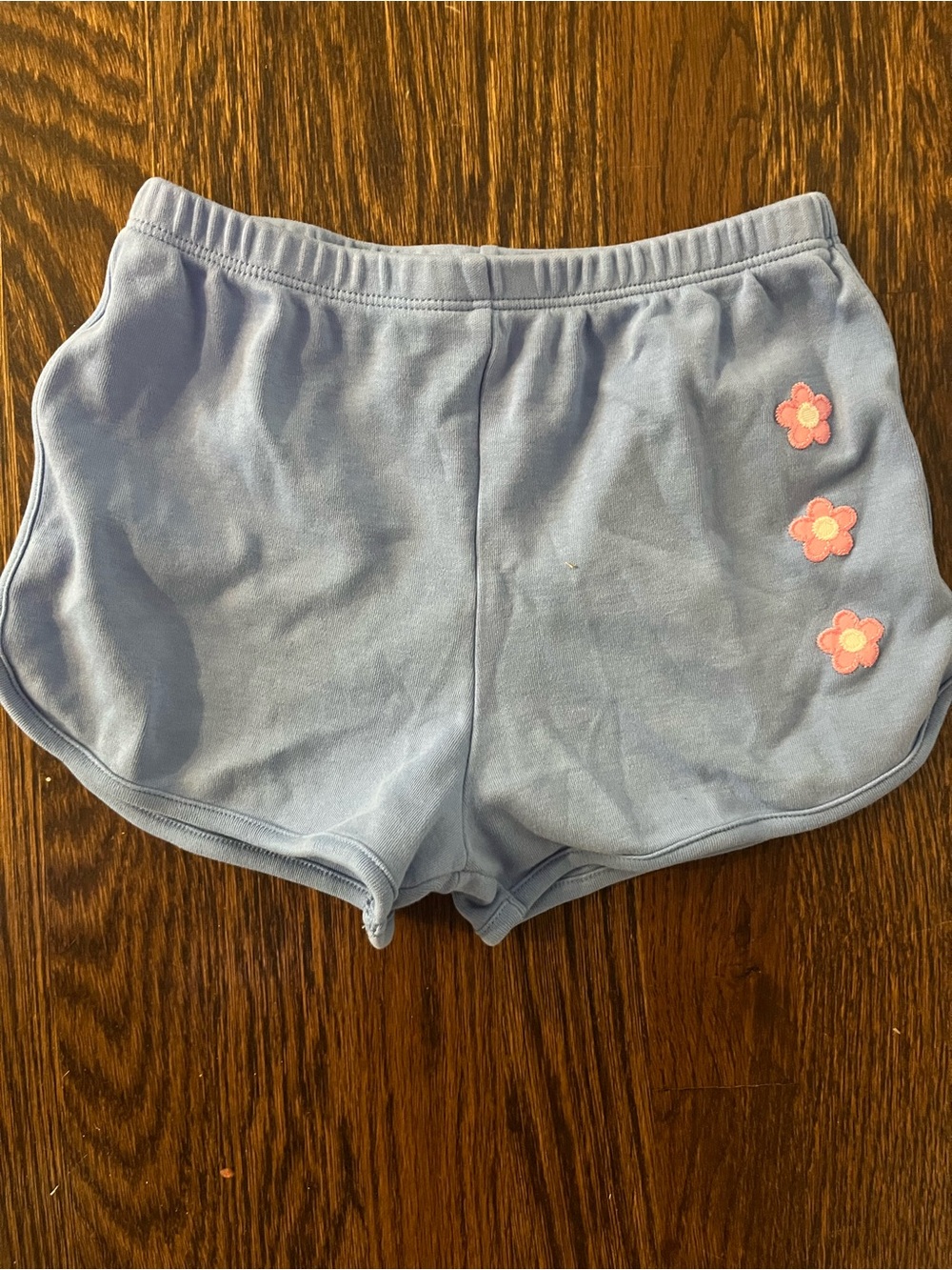 The Beaufort Bonnet Company Light Blue Shorts with Pink Flower Appliqués